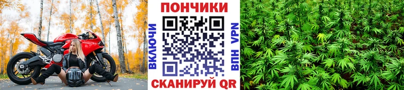 Наркошоп купить Гашиш  Cocaine  МЕФ  ТГК  Марихуана  А ПВП  Исилькуль