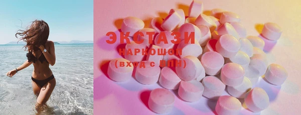 гидра Коряжма