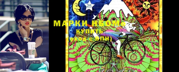 гидра Коряжма