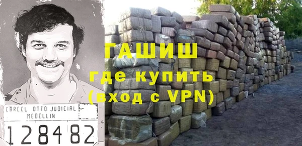 гидра Коряжма