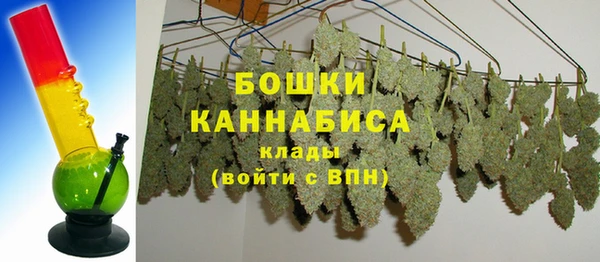 гидра Коряжма