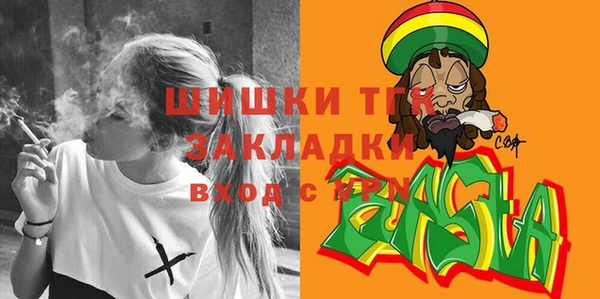 гидра Коряжма