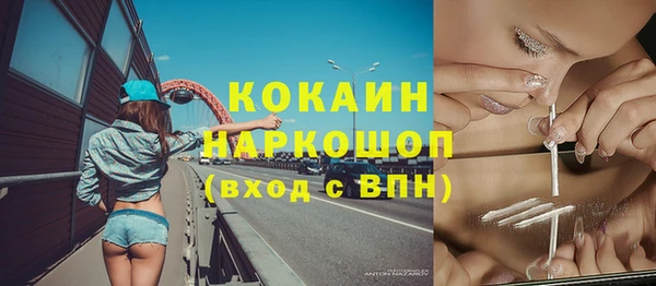 гидра Коряжма