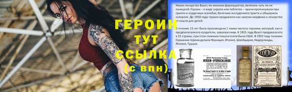 гидра Коряжма
