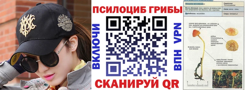 Купить  Исилькуль  Галлюциногенные грибы Psilocybine cubensis 